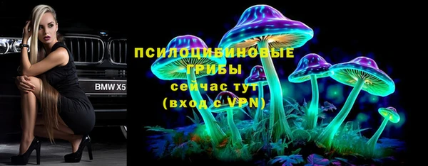 дмт Россошь