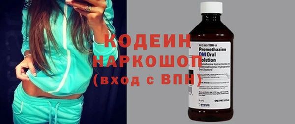 гашик Пестово