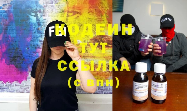 индика Михайловка