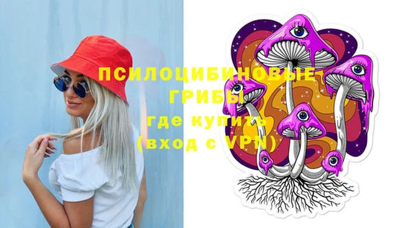 PSILOCYBIN Горняк