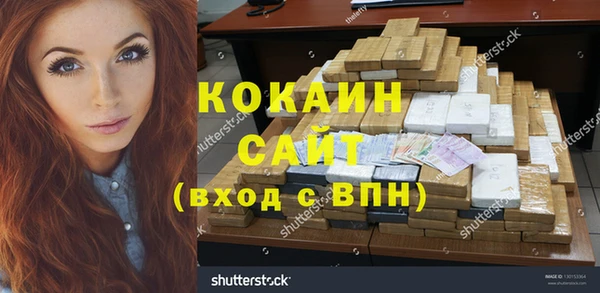 хмурый Арсеньев