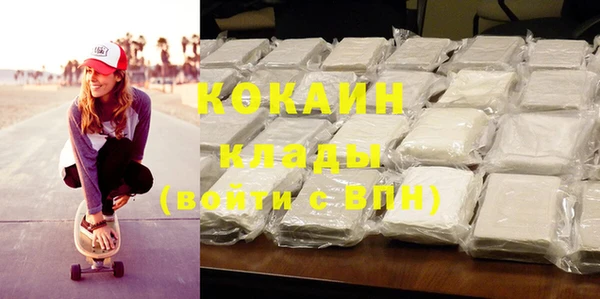 индика Михайловка