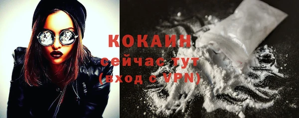 индика Михайловка