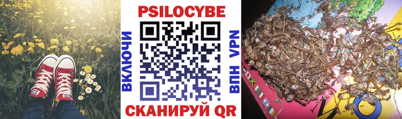 закладки  Лихославль  Псилоцибиновые грибы Magic Shrooms 